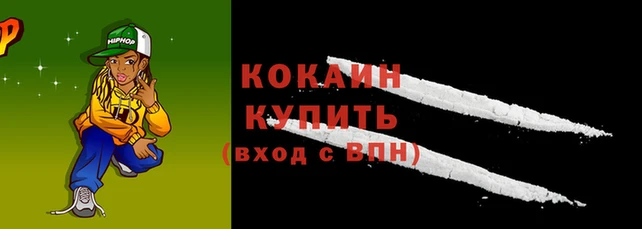 сатива Горно-Алтайск