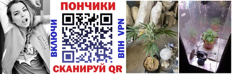 МАРИХУАНА планчик  Купить где  Красный Холм 